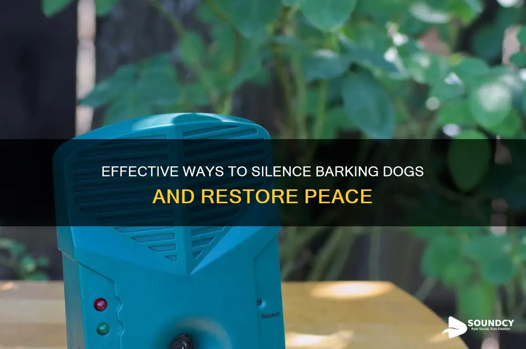 how to block out the sound of barking dogs