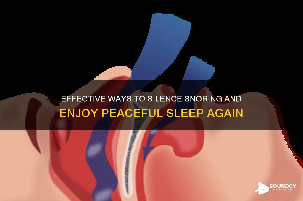 how to block out the sound of someone snoring