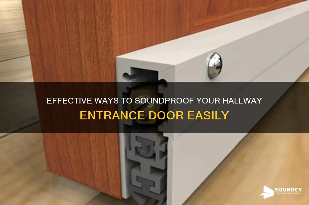 how to block sound down hallway entrance door tyoe