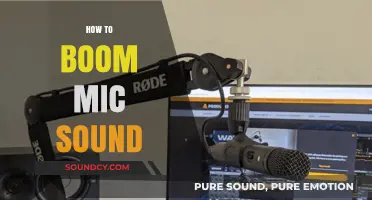 Mastering Boom Mic Techniques for Crystal Clear Audio in Any Setting