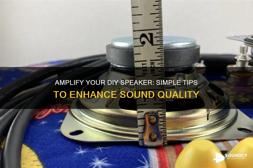 how to boost the sound on a diy speaker