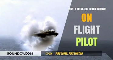 Breaking the Sound Barrier: Essential Techniques for Flight Pilots