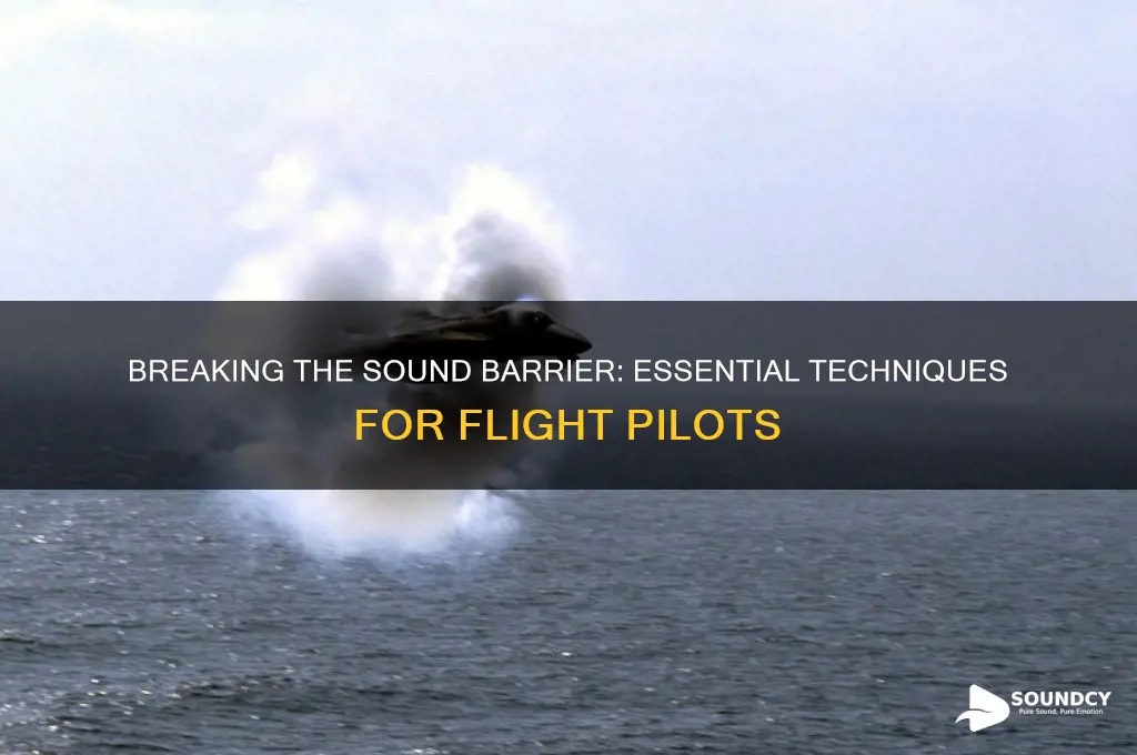 how to break the sound barrier on flight pilot