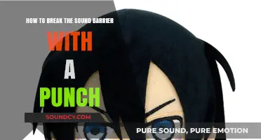 Breaking the Sound Barrier: Unleashing the Power of a Sonic Punch