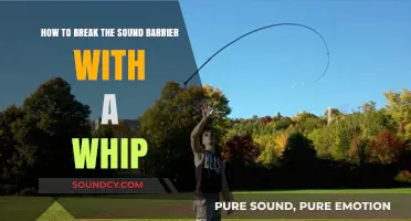 Cracking the Whip: Mastering the Art of Breaking the Sound Barrier
