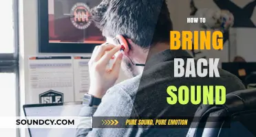 Reviving Silence: Quick Fixes to Restore Lost Sound on Devices
