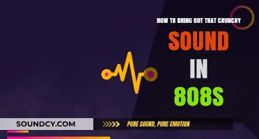 Mastering Crunchy 808s: Techniques for Achieving That Signature Crunch Sound