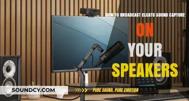 Broadcast Elgato Sound Capture: A Step-by-Step Speaker Setup Guide