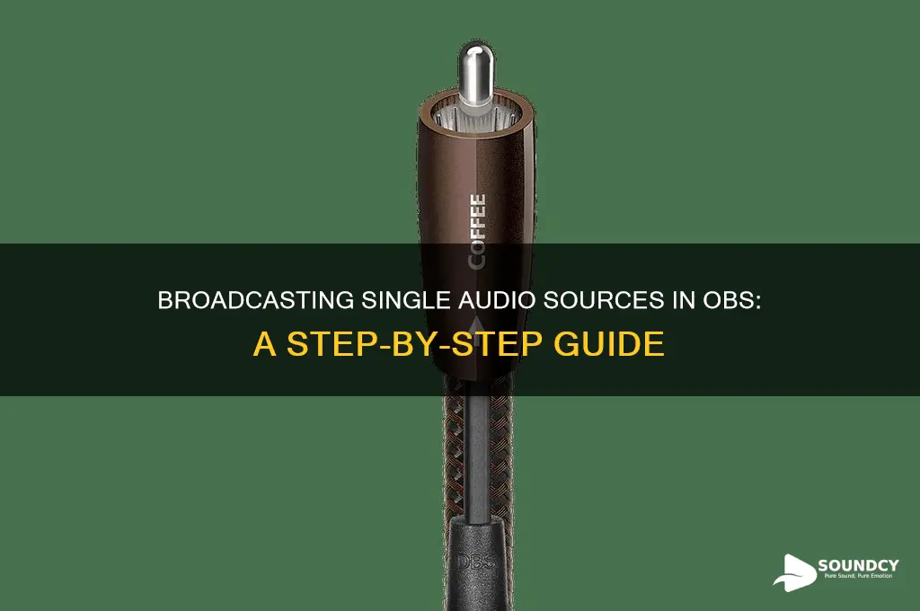 how to broadcast only one sound source in obs