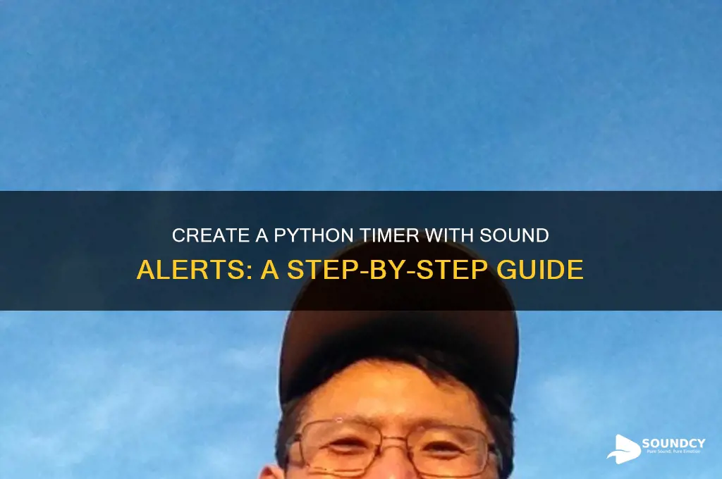 how to build a timer with sound in python