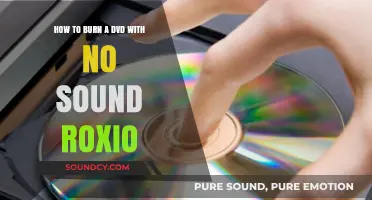 Burn DVDs with No Sound Using Roxio: A Step-by-Step Guide