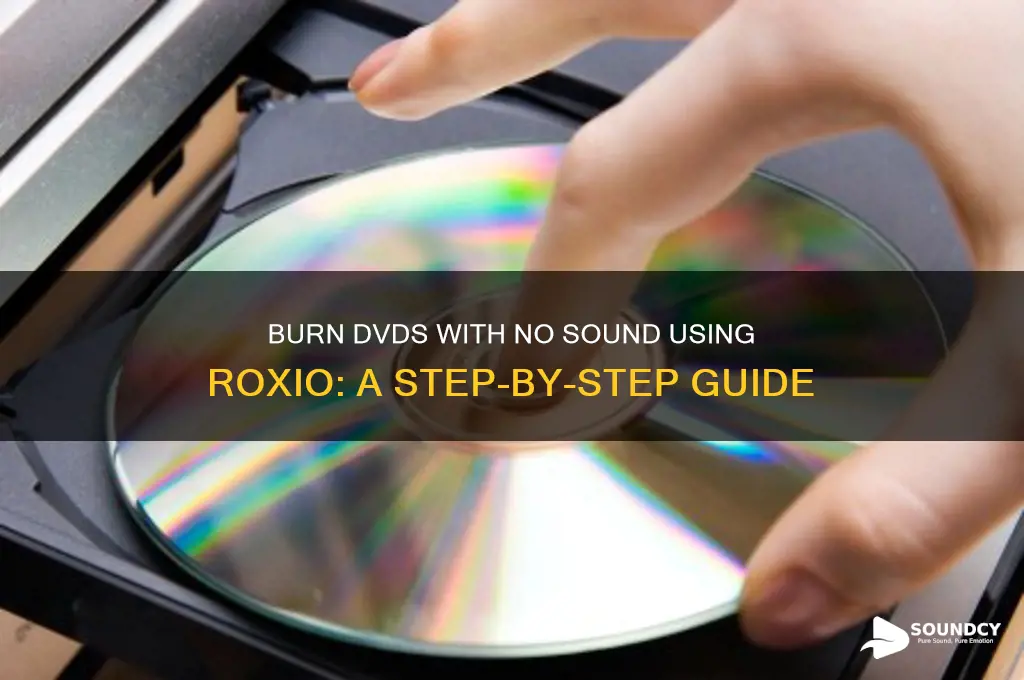 how to burn a dvd with no sound roxio