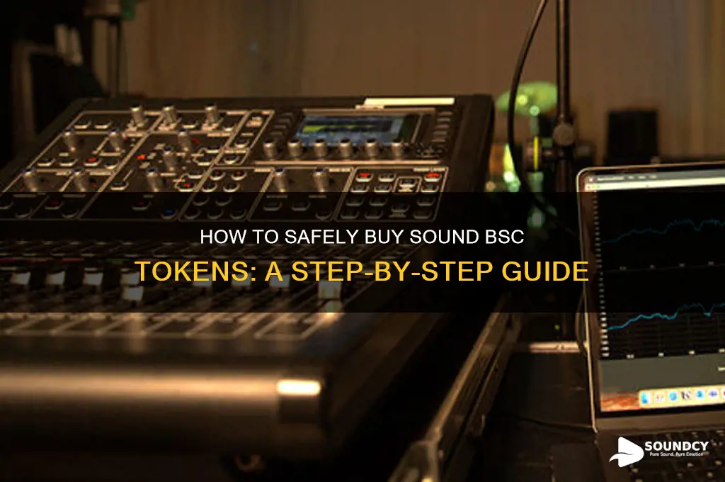 how to buy sound bsc