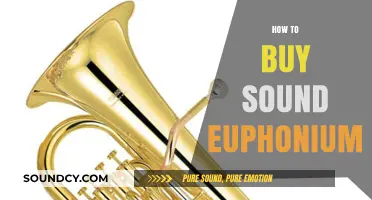 Choosing the Perfect Sound: A Guide to Buying Your Euphonium