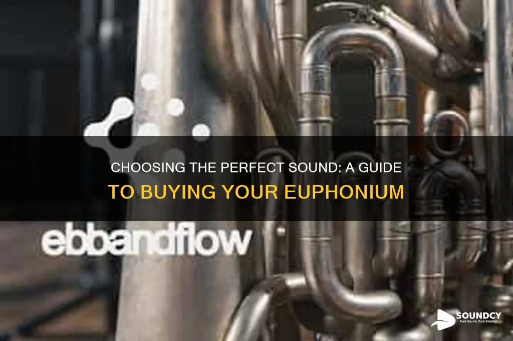 how to buy sound euphonium