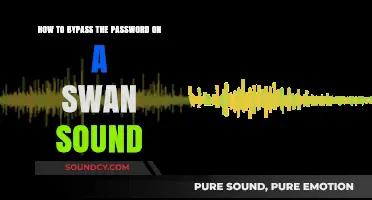 Unlocking Your Swan Sound: Easy Password Bypass Methods Explained