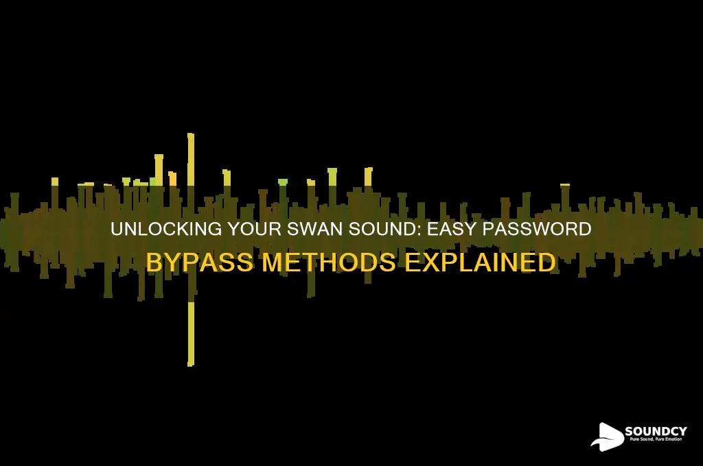 how to bypass the password on a swan sound