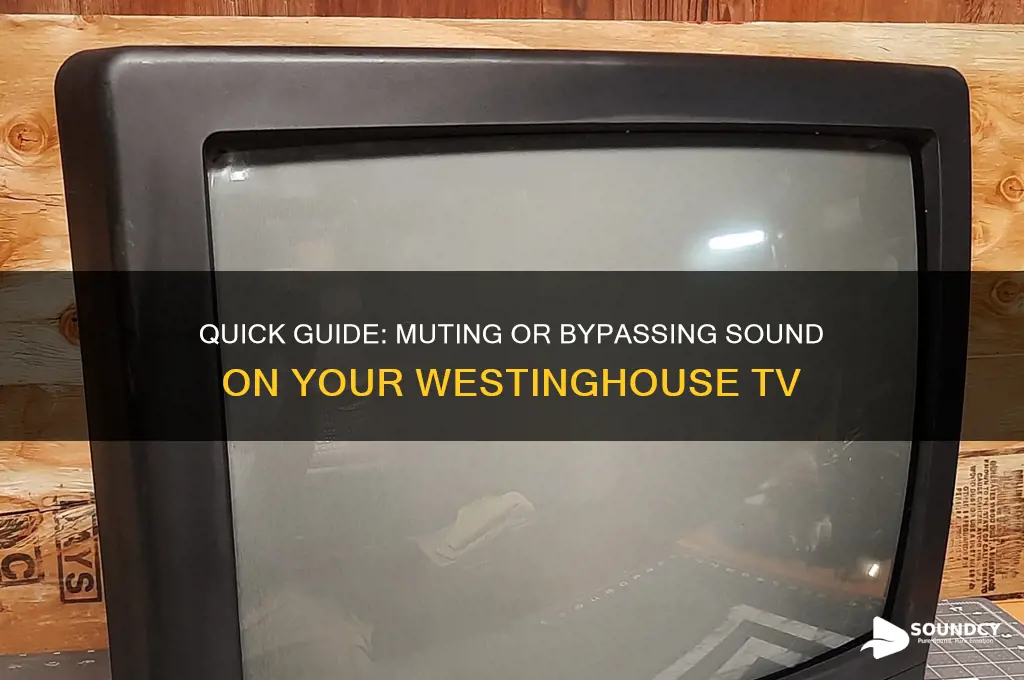 how to bypass the sound on a westinghouse tv