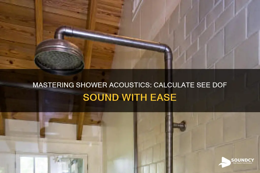 how to calculate see dof sound in a sh0oer