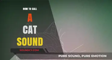 Luring Cats: The Sound of a Meow