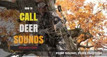Mastering Deer Calls: Techniques to Attract Whitetail Deer Effectively