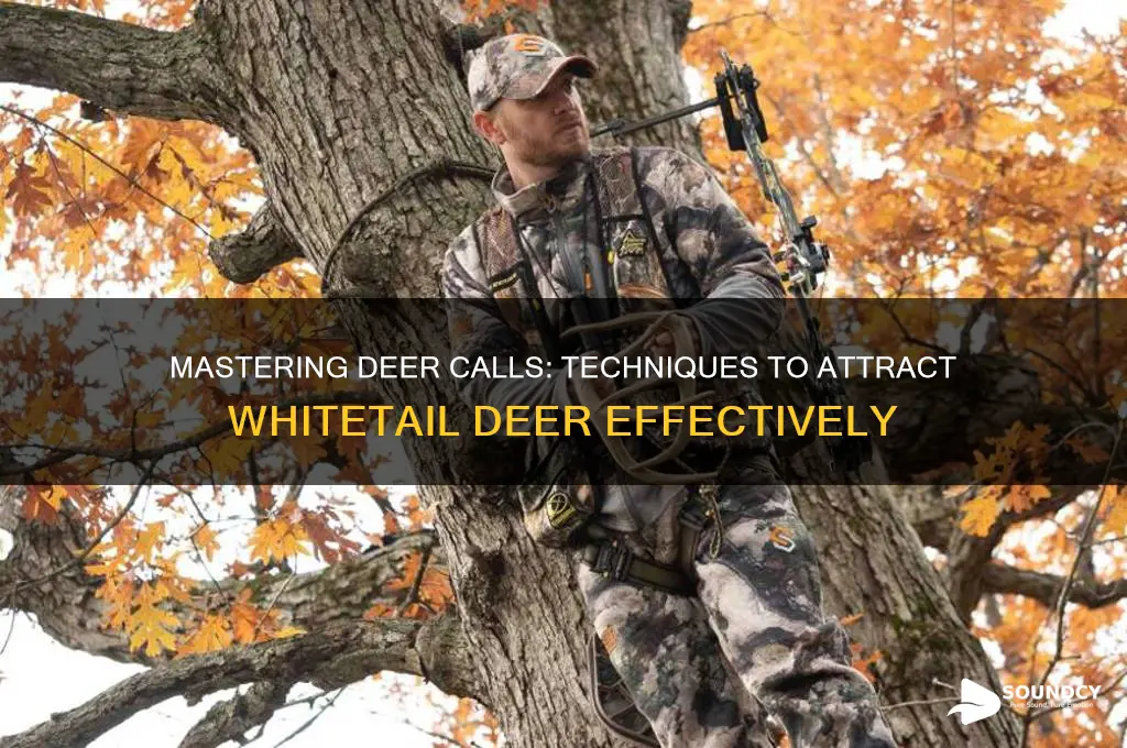 how to call deer sounds