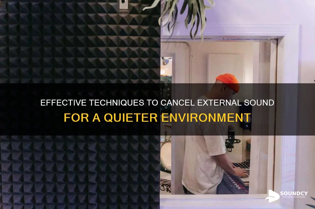 how to cancel external sound