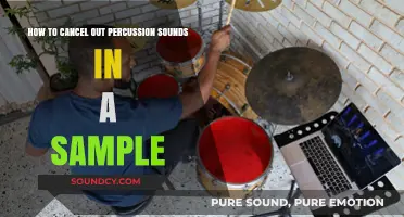 Effective Techniques to Remove Percussion Sounds from Audio Samples