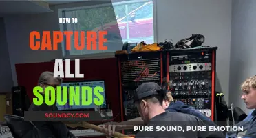 Mastering Audio Recording: Techniques to Capture Every Sound Perfectly