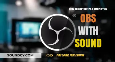 Capture PC Gameplay with OBS: A Step-by-Step Audio Guide