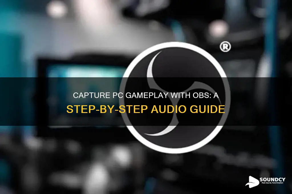 how to capture pc gameplay on obs with sound