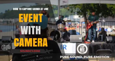 Mastering Live Event Audio: Camera Techniques for Crisp Sound Capture
