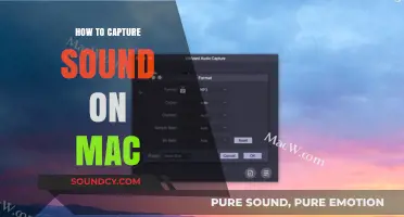 Capturing Audio on Mac: A Step-by-Step Guide