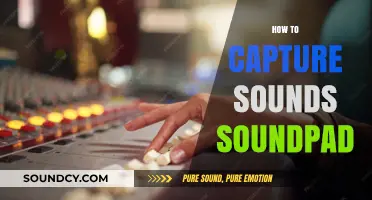 Mastering Soundpad: A Step-by-Step Guide to Capturing Sounds Effortlessly
