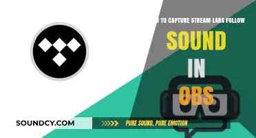 Capture Streamlabs Follow Sound in OBS: A Step-by-Step Guide
