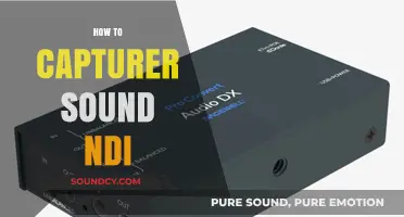 Mastering Sound Capture with NDI: A Comprehensive Step-by-Step Guide