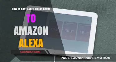 Cast Anker Sound Boost to Alexa: Easy Setup Guide
