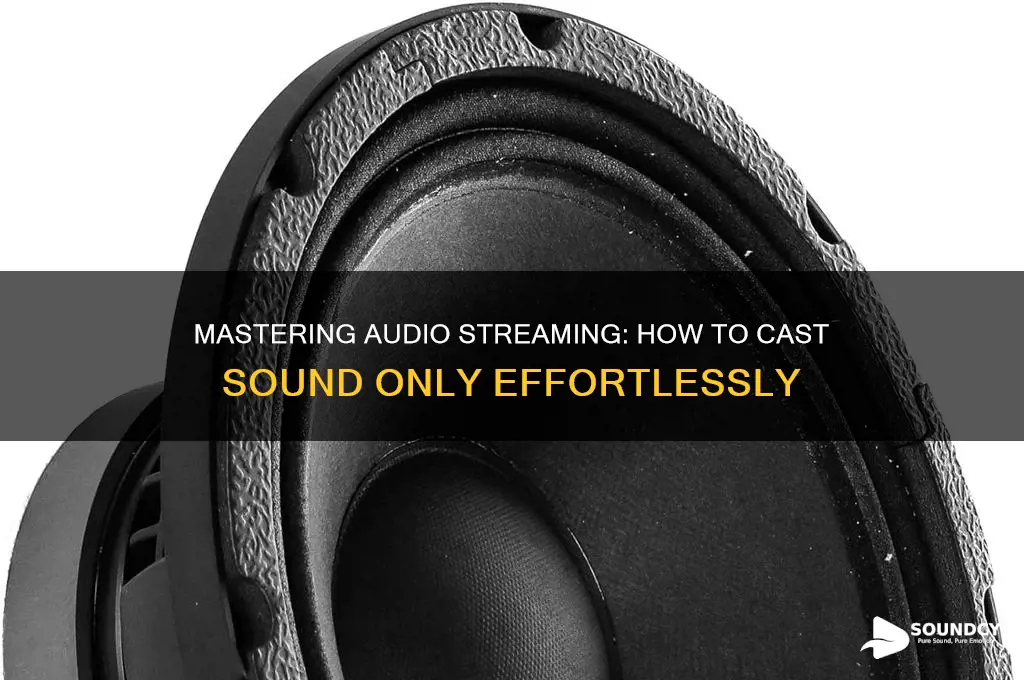 how to cast sound only
