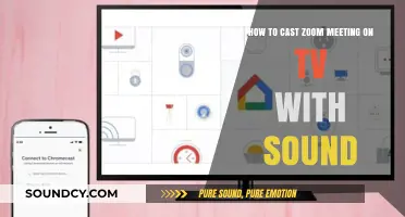 Cast Zoom Meetings on TV with Sound: Easy Setup Guide