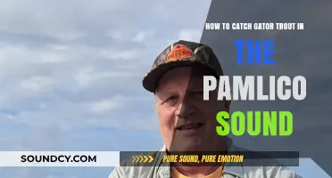 Mastering Pamlico Sound: Proven Techniques to Catch Gator Trout