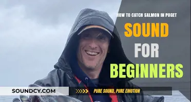 Beginner's Guide to Catching Salmon in Puget Sound Successfully