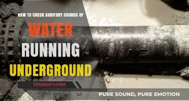 Detecting Underground Water Flow: Techniques to Identify Auditory Sounds