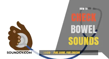 Mastering Bowel Sound Assessment: A Step-by-Step Guide for Healthcare Professionals