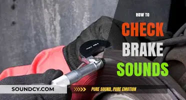 Identifying Brake Noises: A Comprehensive Guide to Diagnosing Car Sounds