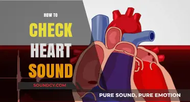 Mastering Heart Sound Auscultation: A Step-by-Step Guide for Accurate Assessment