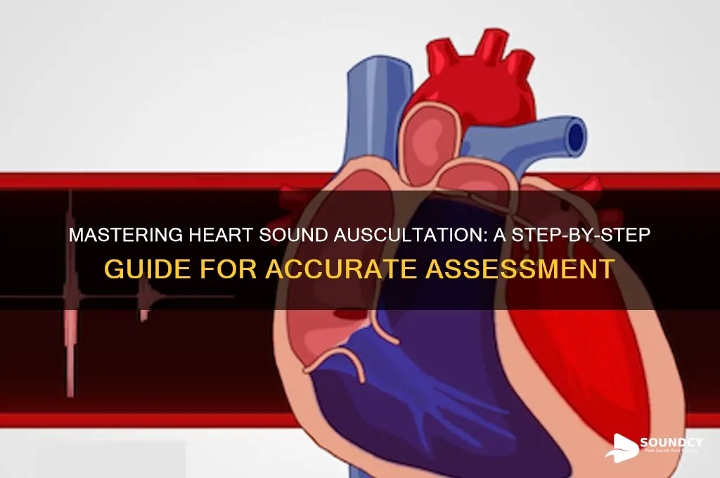 how to check heart sound