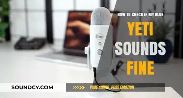 Is Your Blue Yeti Clear? Quick Tips to Test Audio Quality