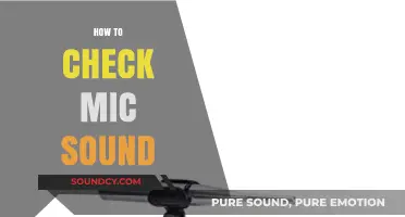 Mastering Your Microphone: A Quick Guide to Testing Mic Sound