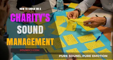 Evaluating Charity Management: Key Steps to Ensure Sound Practices