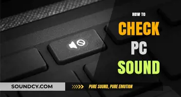 Quick Guide: Testing and Troubleshooting Your PC's Audio Output